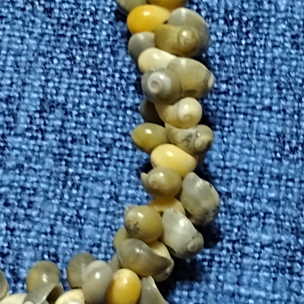 Single Strand Shell Necklace - Picture 4 of 5